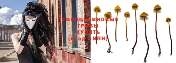 мдпв Володарск