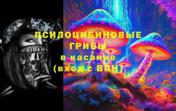 СК Бородино