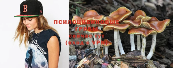 гашишное масло Волоколамск