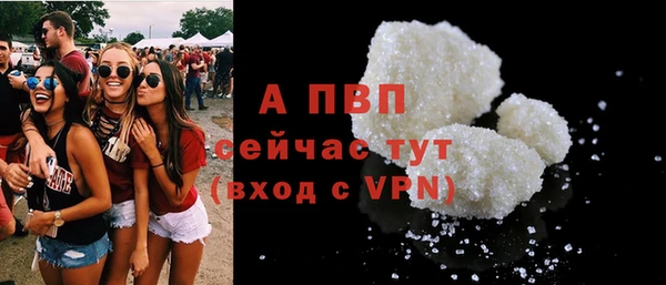 СК Бородино