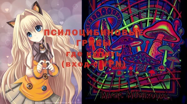 тгк Бронницы
