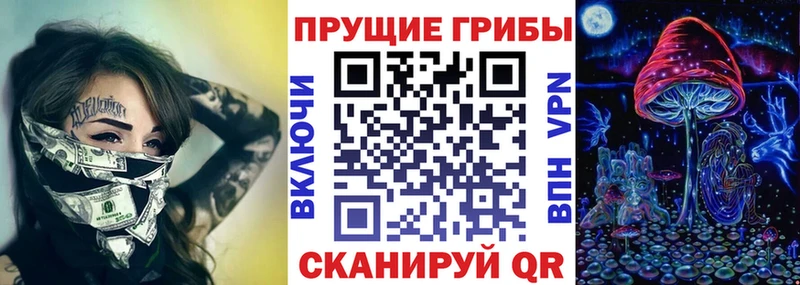 Купить  Мамадыш  Галлюциногенные грибы Psilocybine cubensis 